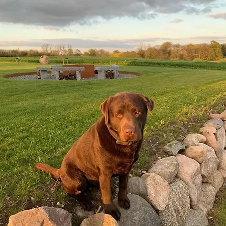 Çiftlik konaklama Meldbjerg Stouby